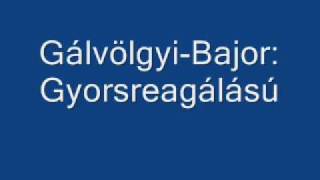 Gálvölgyi-Bajor: Gyorsreagálású erők