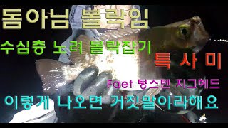 #영덕권 #볼락낚시 거짓말같은 싸이즈  왕사미 퍼레이드 2탄