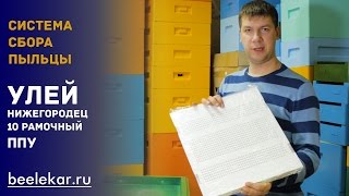 Пыльцесборник на 10-рамочный улей ППУ Нижегородец