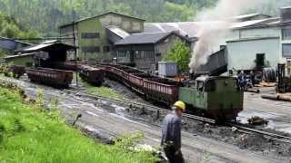 Banovici Coal Mine - Bosnian Narrow gauge Steam in Spring Sunshine
