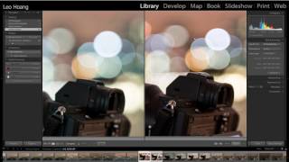 Sony 24-70mm f/2.8 GM - Bokeh Discussion (Mini Review featuring Nikon 24-70mm f/2.8G)