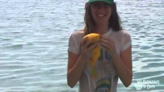 How to eat a mango fruitarian style. Wet T-shirt.