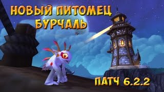 Новый питомец - Мурлок Бурчаль! Patch 6.2.2.