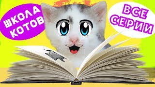 ШКОЛА КОТОВ : ВСЕ СЕРИИ ПОДРЯД! КОШЕЧКА МУРКА и КОТ МАЛЫШ ШКОЛЬНИКИ! СБОРНИК ПРО КОТОВ как МУЛЬТИК