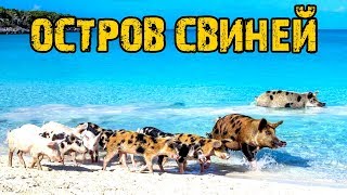 Морское путешествие на яхте | Остров Свиней | Пляжный коп с металлоискателем на Карибских островах