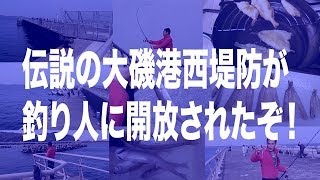 神奈川県 大磯港 西堤防 釣り解禁だ！ Surf-fishing