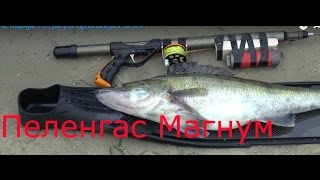 Ружье пеленгас Магнум 70 с регулятором мощности боя