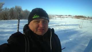 Неожиданная встреча с ВОЛКАМИ !!! Охота на зайца и лису.