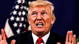 Donald Trump Should Be TERRIFIED Of Michael Cohen's Plea Deal