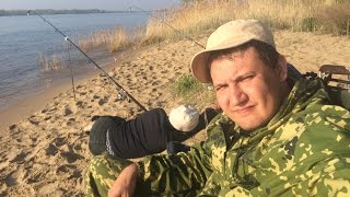 Голавлиный пост #7: Ловля Голавля с Берега на Донку на Течении Реки Волги