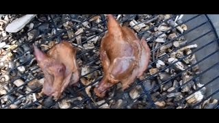 Горячее копчение куропатки. Первый опыт