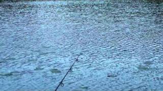 Carpfriends-Schönebeck - Short Sessions mit Denny