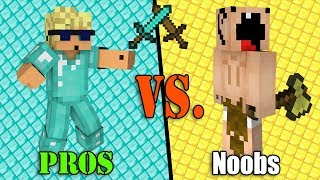 Incredibly STUPID Noobs VS. SUPER Pros - Minecraft