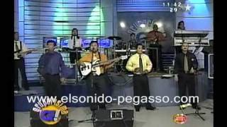 PEGA PEGA - TE AMO