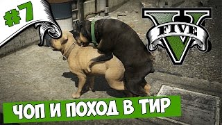 GTA 5 Прохождение #7 Стреляем в Тире и знакомимся с Чопом