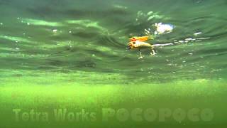 DUO`s Lures in Motion #7 - Tetra Works Poco Poco 40F