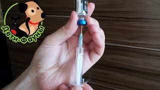 Укол собаке. Укол кошке. Частые ошибки