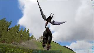 Выживание x1000 В поисках птеров-Лошадь самоубийца Ark Survival Evolved