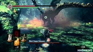 Dark Souls DLC Walkthrough Part 3 1080p 16xAA PC Version Artorias Of The Abyss dlc prepare to die