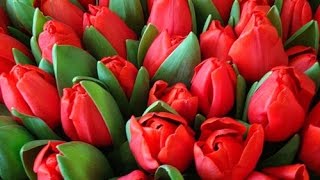 Подарок на 8 Марта своими руками )