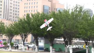Volantexrc 756-1 Sbach342 1100mm Wingspan Aerobatic 3D