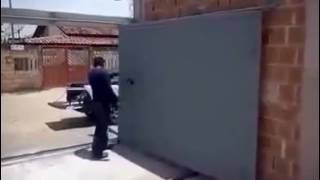 Оригинальные ворота для двора