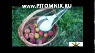 ПЛОДОСЪЕМНИК ДЛЯ ЯБЛОК, ВИШНИ, СЛИВЫ, ЧЕРЕШНИ, ГРУШИ, АБРИКОСОВ, телескопический плодосборник