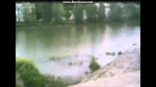 Italien V log mit videos und Bilder + Real life cam 30 abo special HD