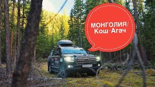 Путешествие в Азию. Монголия, Алтай граница, Кош-Агач часть 6. Toyota Land Cruiser