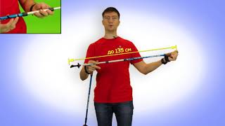 Палки для скандинавской ходьбы TWIST