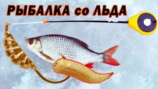 ЗИМНЯЯ РЫБАЛКА НА ОПАРЫШ ВЫМЯ ЛЕГКОЕ КРЕМЕНЧУГСКОЕ ВОДОХРАНИЛИЩЕ