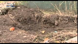 Satul Marandeni, INGROZIT dupa ce politia a descoperit cadavrul unui bebelus langa un cimitir