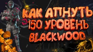 Как апнуть 150 уровень в новом длс Blackwood Блэквуд?