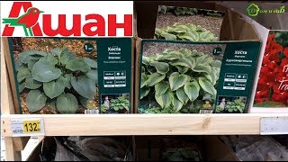 ?АШАН очень много НОВИНОК для дачи март 2018 ?ПОЛНЫЙ обзор товаров для ДАЧИ на март 2018