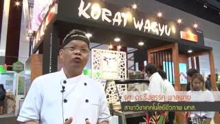 โคพันธุ์โคราชวากิว ให้เนื้อนุ่ม ไขมันแทรกสูง เพิ่มกำไรให้เกษตรกร