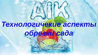 Обрезка сада (семинар Мичуринск 2019)