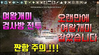 [꿀잼 개미굴 검사방 전투] 오랜만에 여왕개미 잡았습니다 리니지 리마스터