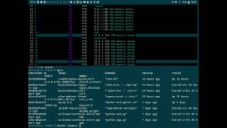 [NO TUTORIAL]nginx reverse proxy docker container serving web apps on non 80 ports by app.domain.lan