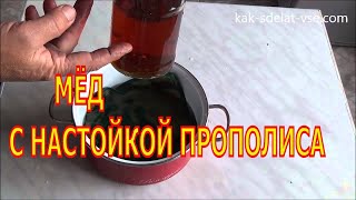 Мед с прополисом. Как приготовить?
