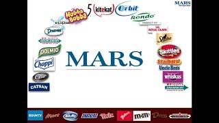 Презентация МАРС 2016  на должность TDS