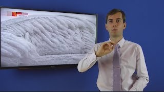 Новости 10.01.2018 для глухих  на русском жестовом языке