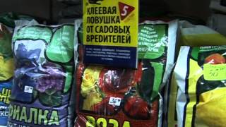 Магазин «Дача» - спонсор конкурса «Познаем мир вместе».