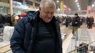 Ярмарка голубей 3-я часть.   Воронеж 24.11.2019г.