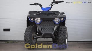 Linhai Yamaha M200