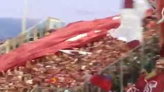 Fiorentina - Torino - Lo Stadio