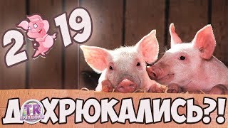 ХРЮ ХРЮ МУЛЬТПЕРЕПОЛОХ Игры конкурсы на праздник Новый год свиньи 2019