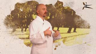 Что такое Тайцзицюань? Сибирская Школа Тайцзицюань. Андрей Ширай.