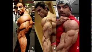 THE BEST TRICEPS IN THE WORLD !!!!
