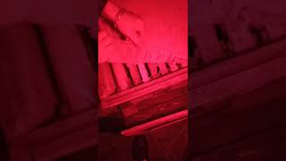 Зимовка пчёл в альпийцах на Южном Урале 06.01.2020.отличный результат все живы.мфу улья