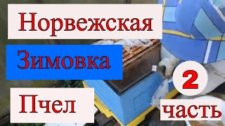 Норвежская зимовка
